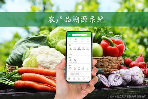 农产品溯源系统是什么