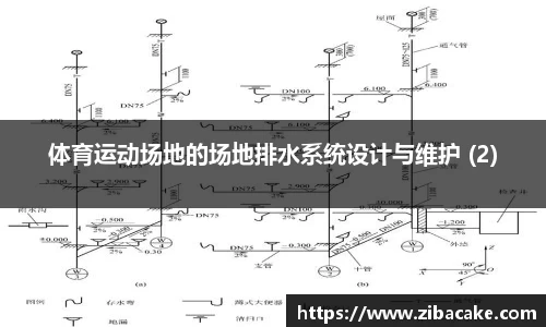 体育运动场地的场地排水系统设计与维护 (2)